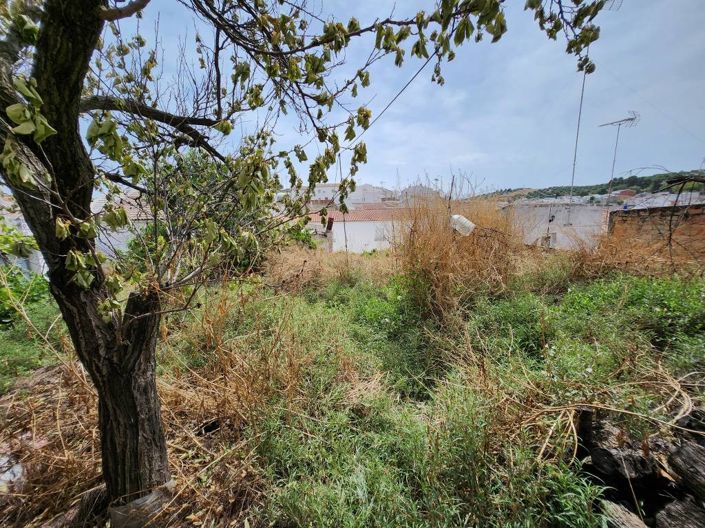 Image No.21-Maison de ville de 5 chambres à vendre à Santiago de Calatrava