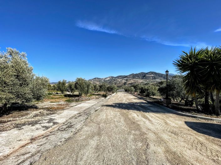 Image No.35-6 Bed Finca for sale