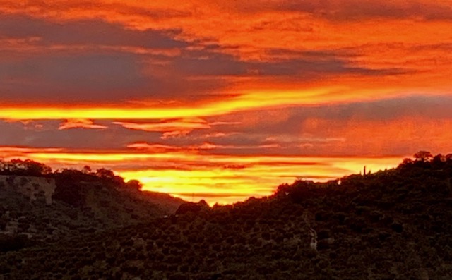 Image No.5-10 Bed Country House for sale