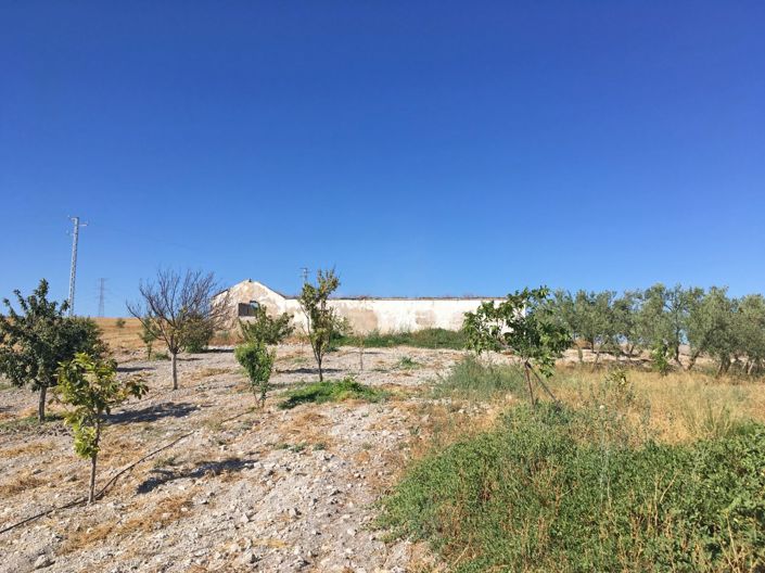 Image No.26-6 Bed Country House for sale