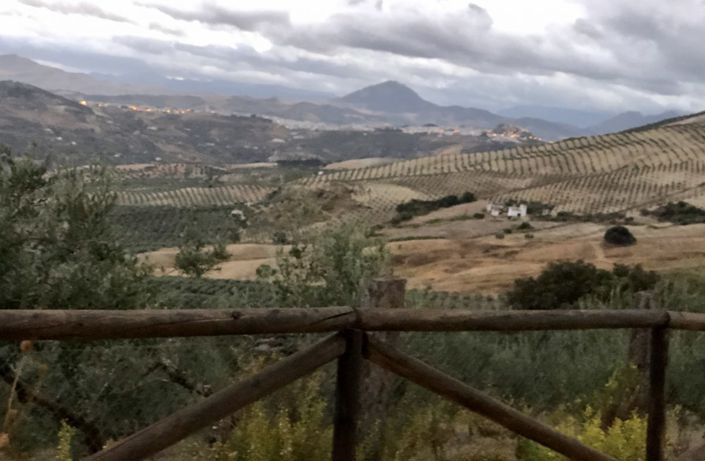 Image No.7-3 Bed Villa for sale