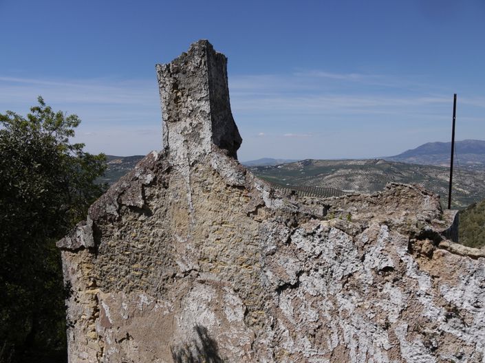 Image No.4-Land for sale