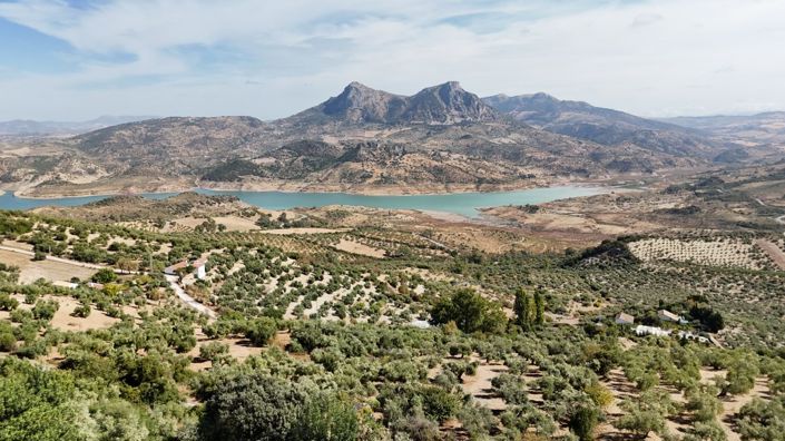 Image No.11-Propriété de 3 chambres à vendre à Andalousie