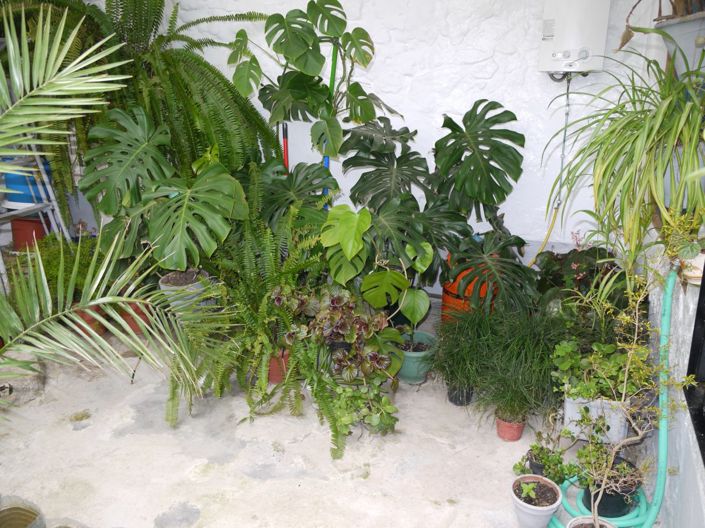 Image No.9-Maison de ville de 3 chambres à vendre à Olvera