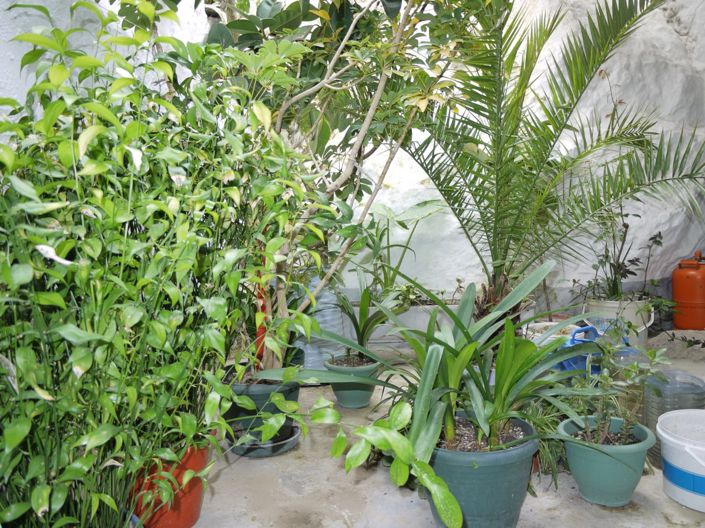 Image No.10-Maison de ville de 3 chambres à vendre à Olvera