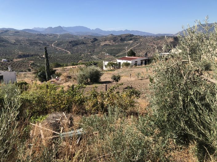 Image No.27-4 Bed Property for sale