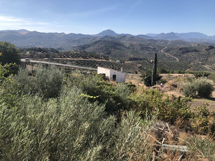 Image No.28-4 Bed Property for sale