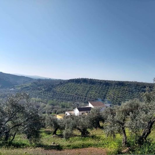 Image No.20-Propriété de 6 chambres à vendre à Montoro