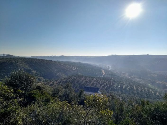 Image No.8-Propriété de 6 chambres à vendre à Montoro