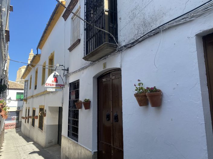 Image No.20-Commercial de 2 chambres à vendre à Olvera