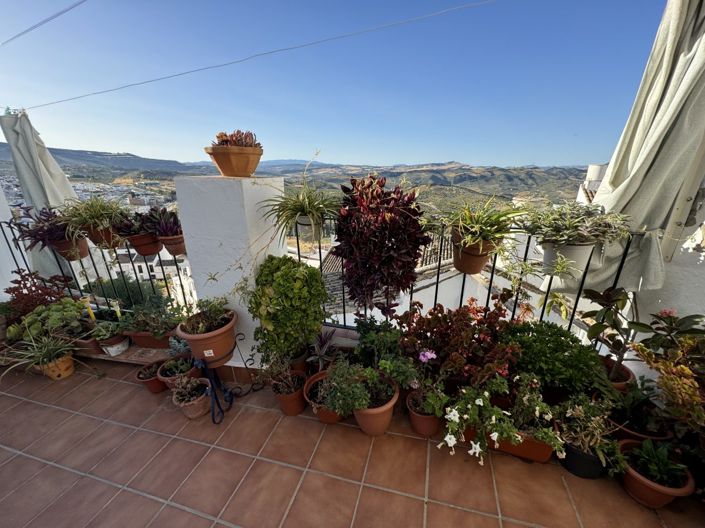 Image No.3-Propriété de 3 chambres à vendre à Olvera