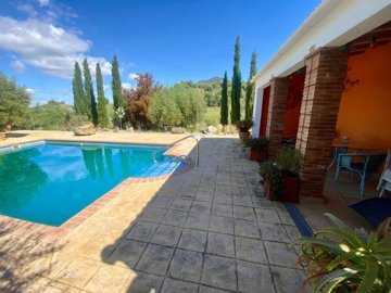 3226e409-cbe6-4702-90ce-f0ab859208c1-1200x900