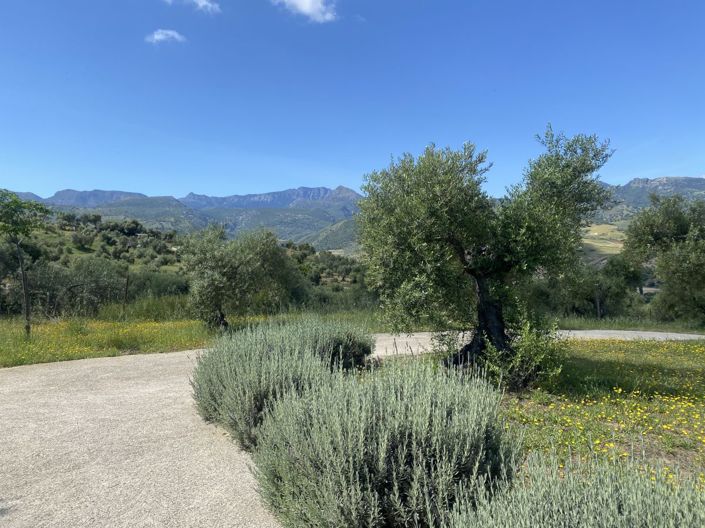 Image No.26-2 Bed Property for sale