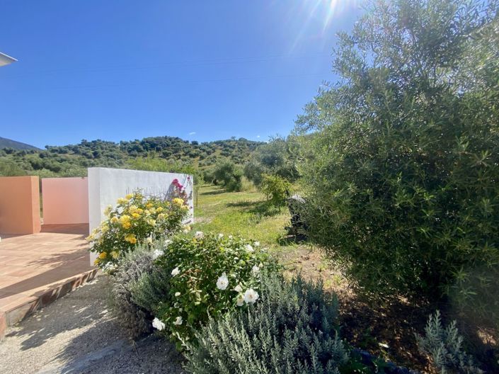 Image No.35-2 Bed Property for sale