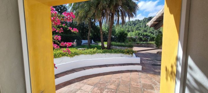 Image No.25-10 Bed Vineyard for sale