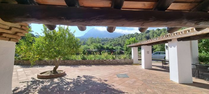 Image No.26-10 Bed Vineyard for sale