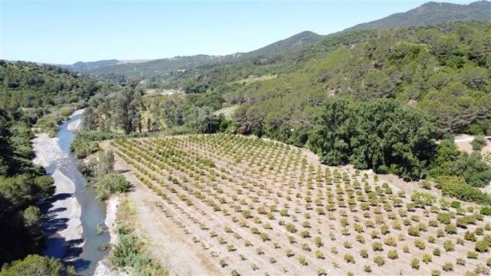 Image No.5-10 Bed Vineyard for sale