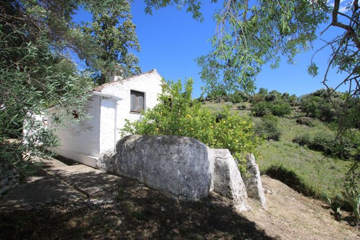 Image No.23-Finca de 3 chambres à vendre à Gaucin
