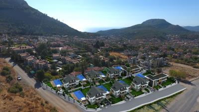 d902bc14-4731-421d-b63a-a79fbbb7a8d2