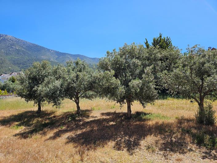 Image No.29-3 Bed Apartment for sale