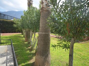 A_Evergreen-External--7-