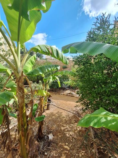 Image No.5-Maison de ville de 2 chambres à vendre à Msida