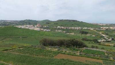 918379_20250318161309914162_orig