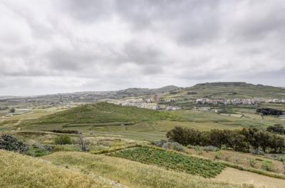 918379_20250417113633775288_orig