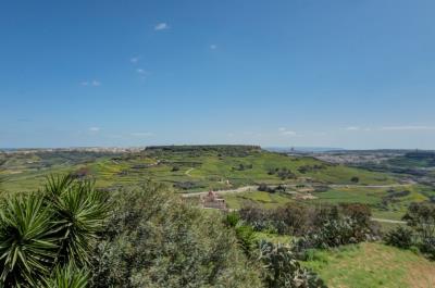 918357_20250401143938131615_orig