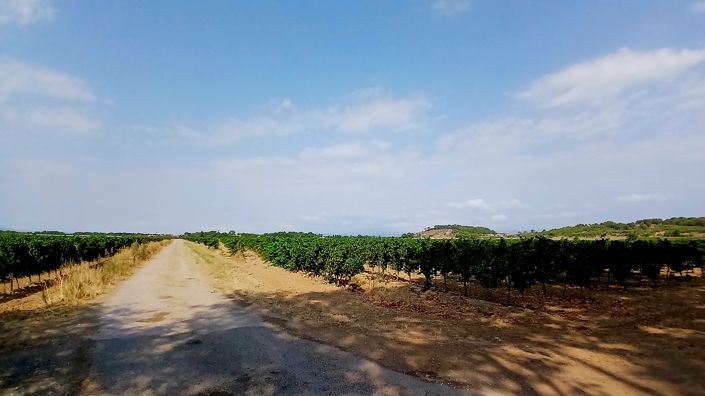 Image No.7-Maison de 8 chambres à vendre à Cuxac-d'Aude