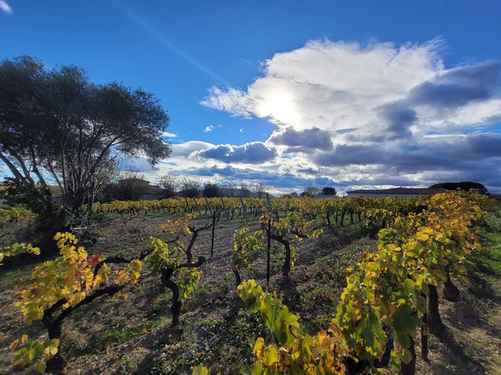 Image No.2-Propriété à vendre à Autignac