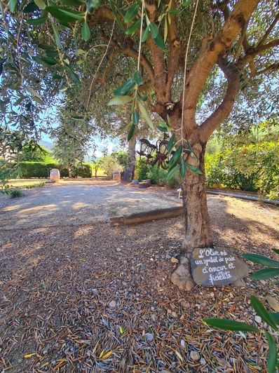 Image No.29-Propriété de 7 chambres à vendre à Cessenon-sur-Orb