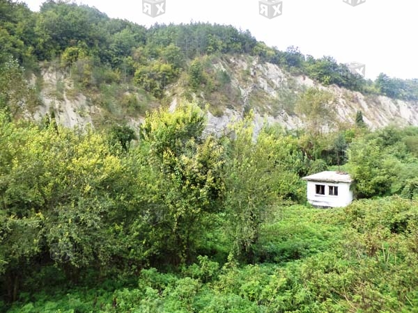 Image No.35-13 Bed Commercial for sale