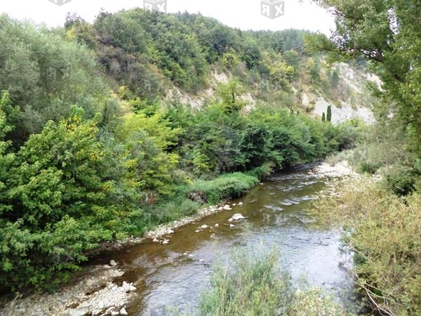 Image No.37-13 Bed Commercial for sale