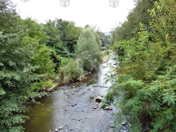 Image No.38-13 Bed Commercial for sale