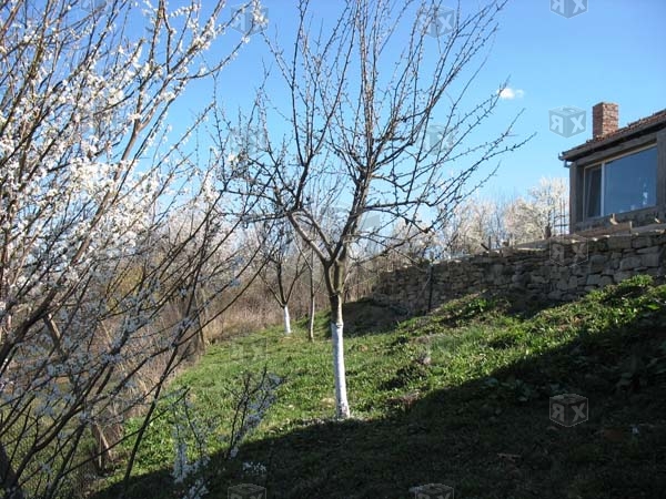 Image No.17-2 Bed Property for sale