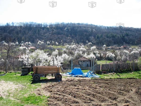 Image No.19-2 Bed Property for sale