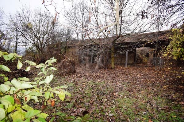 Image No.25-5 Bed House for sale