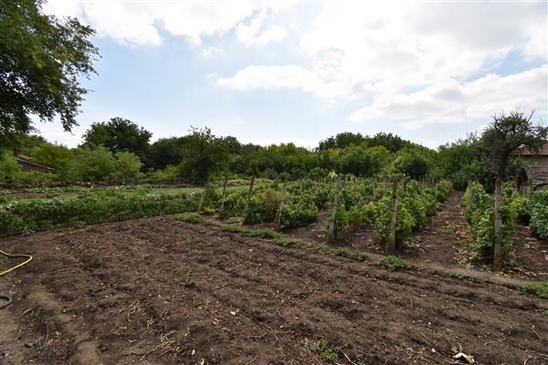 Image No.12-3 Bed House for sale