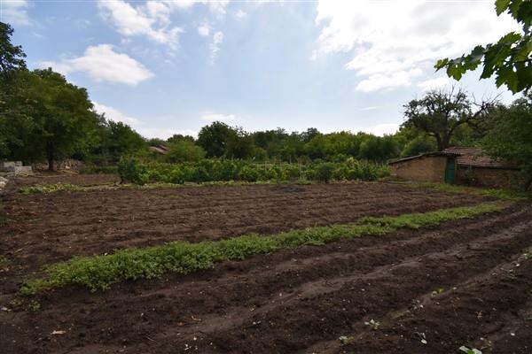 Image No.17-3 Bed House for sale