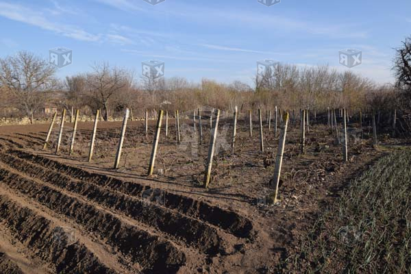 Image No.19-3 Bed House for sale