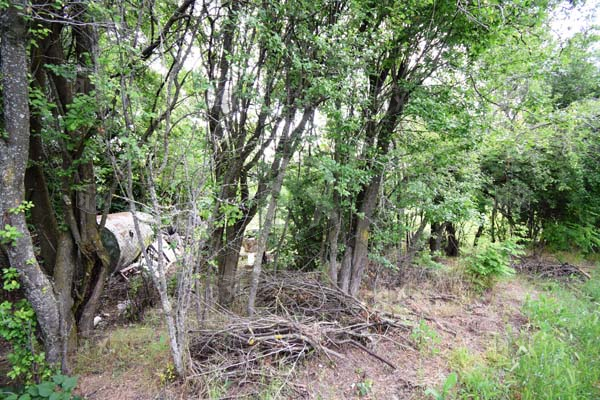 Image No.3-Property for sale