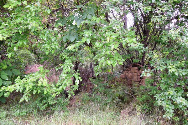 Image No.4-Property for sale