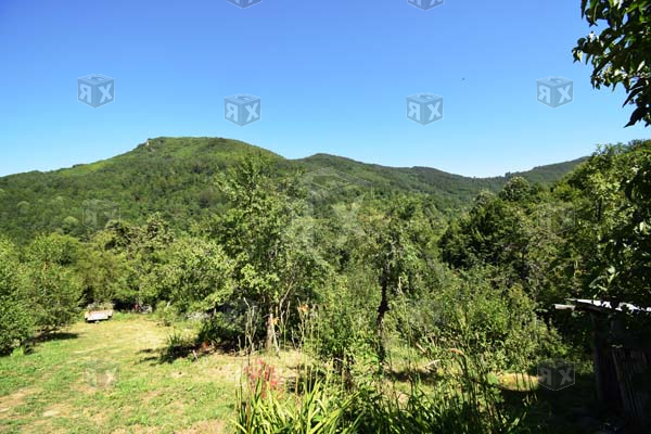 Image No.19-3 Bed House for sale