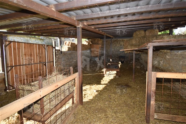 Image No.18-5 Bed House for sale