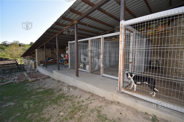 Image No.19-5 Bed House for sale