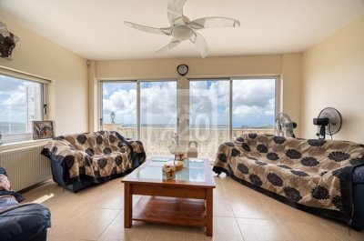 Detached Villa For Sale  in  Ineia