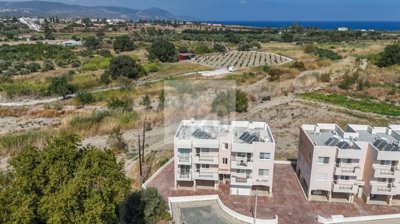 Apartment For Sale  in  Polis