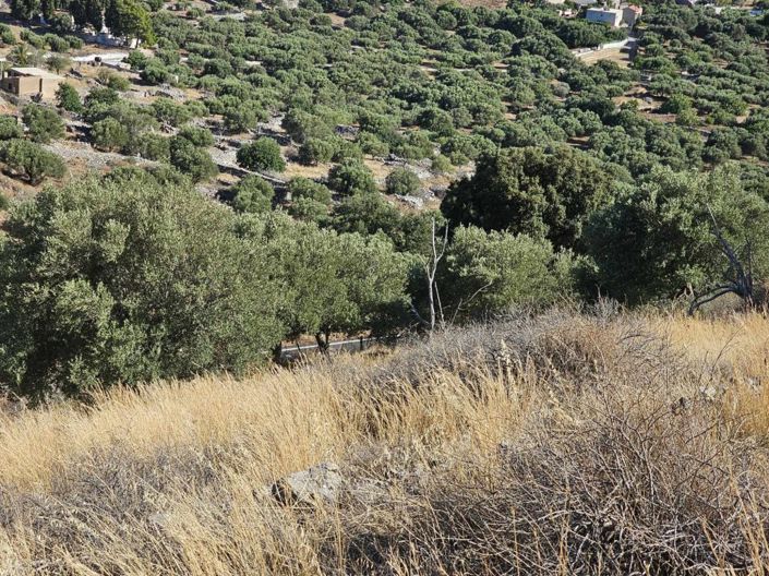 Image No.3-Plot for sale