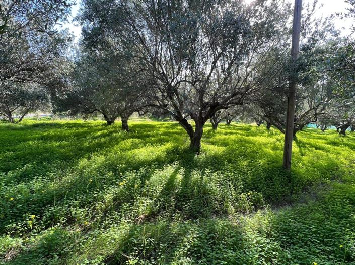 Image No.2-Terrain à vendre à Agios Nikolaos